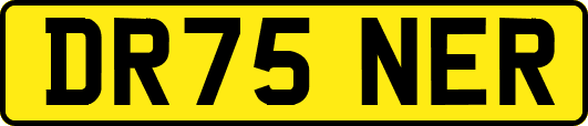 DR75NER