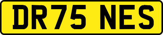 DR75NES