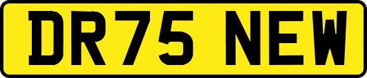 DR75NEW