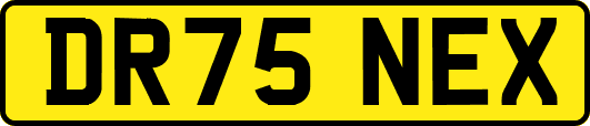 DR75NEX