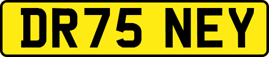 DR75NEY