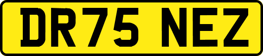 DR75NEZ