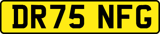 DR75NFG
