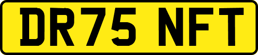 DR75NFT