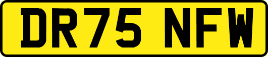 DR75NFW