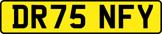 DR75NFY