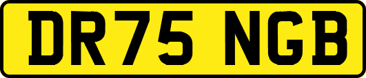 DR75NGB