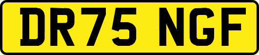 DR75NGF