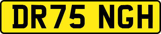 DR75NGH