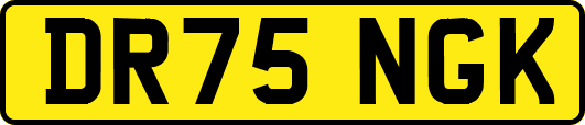 DR75NGK