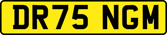 DR75NGM