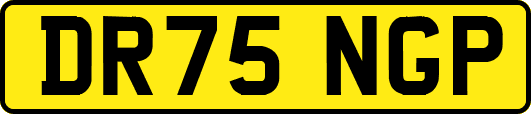DR75NGP