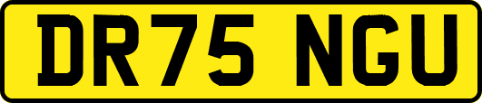 DR75NGU