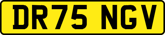 DR75NGV