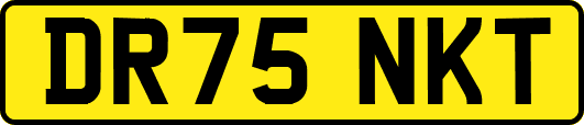 DR75NKT