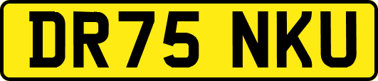 DR75NKU