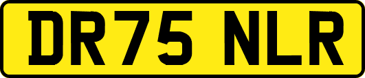 DR75NLR