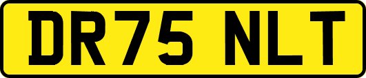 DR75NLT