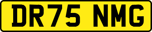 DR75NMG