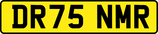 DR75NMR