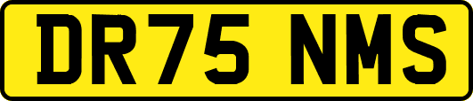 DR75NMS