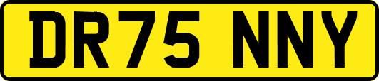 DR75NNY