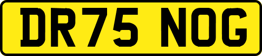 DR75NOG