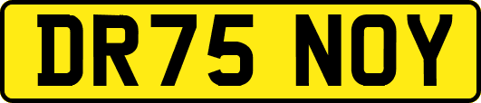 DR75NOY