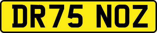 DR75NOZ