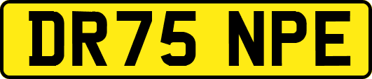 DR75NPE