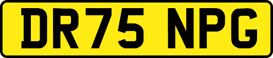 DR75NPG