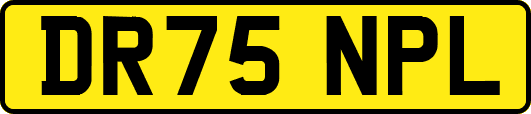 DR75NPL