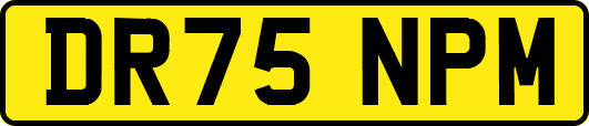 DR75NPM
