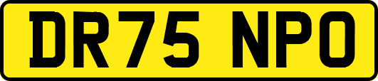 DR75NPO