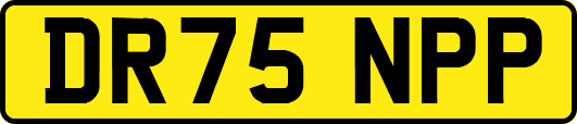 DR75NPP