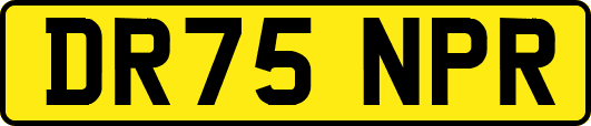 DR75NPR