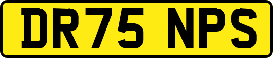 DR75NPS