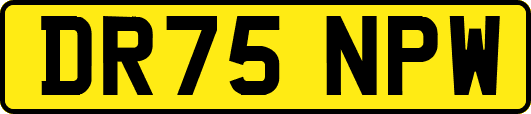 DR75NPW