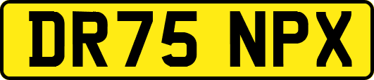 DR75NPX