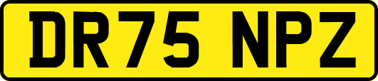 DR75NPZ