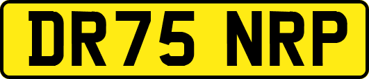 DR75NRP