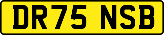 DR75NSB