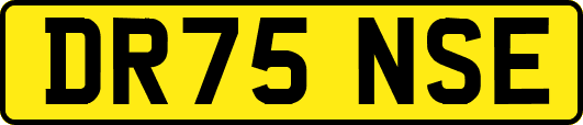 DR75NSE