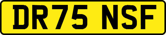 DR75NSF