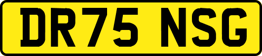 DR75NSG