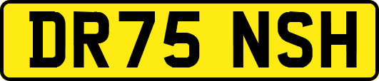 DR75NSH