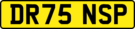 DR75NSP