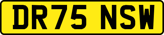DR75NSW