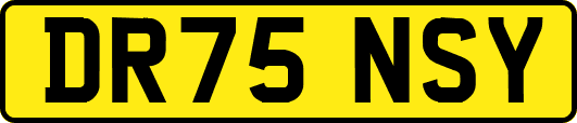DR75NSY