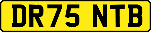 DR75NTB